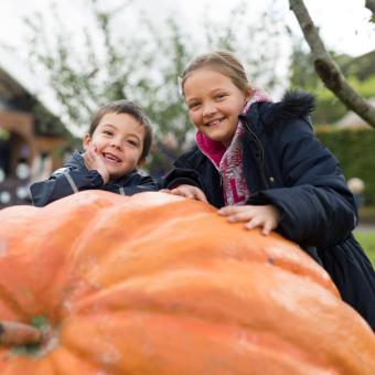 Children stood behind a giant pumpkin